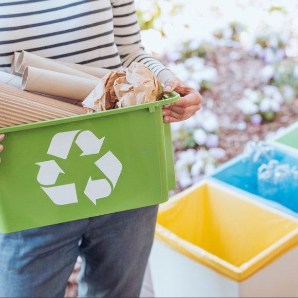 stock-photo-activist-taking-care-of-environment-sorting-paper-waste-to-proper-recycling-bin-on-terrace-709345111-transformed